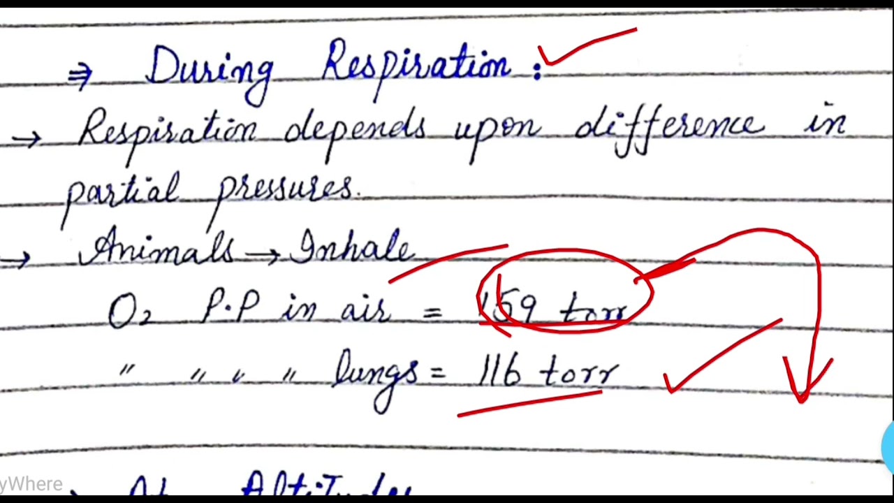 Applications of dalton's law of partial pressures 