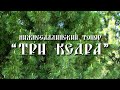 Нижнесалдинский топор Три кедра