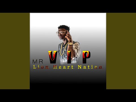 Mr VIP