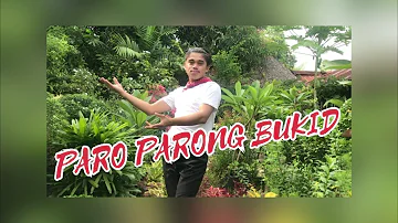 PARO PARONG BUKID (Filipino Folk Song)