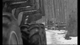 A Forest Videoblog Für Motor.de Maschinen