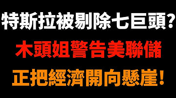 特斯拉被剔除七巨頭？木頭姐警告：美聯儲正把經濟開向懸崖！