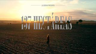 137 HECTÁREAS - Mediometraje (2025)
