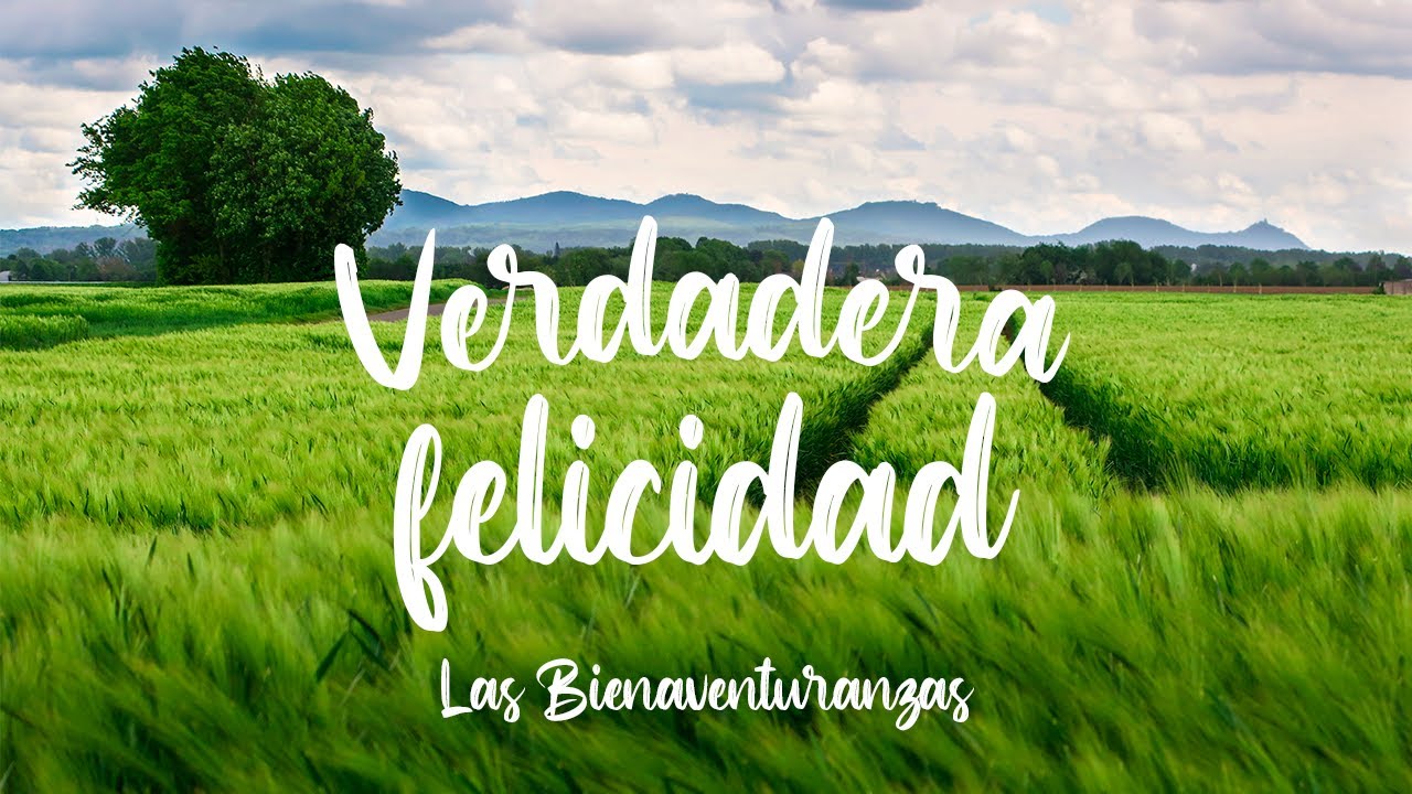 Felices los de limpio corazón - David Barceló