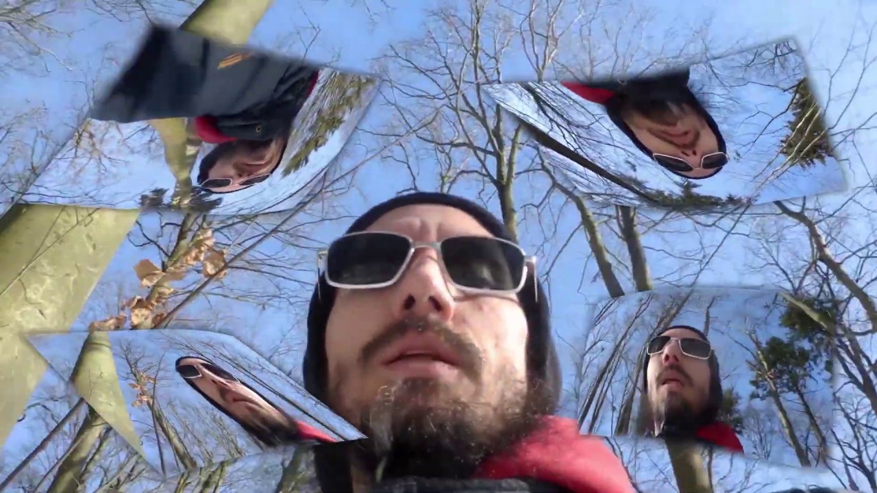 inaud1bl3 - strong lung