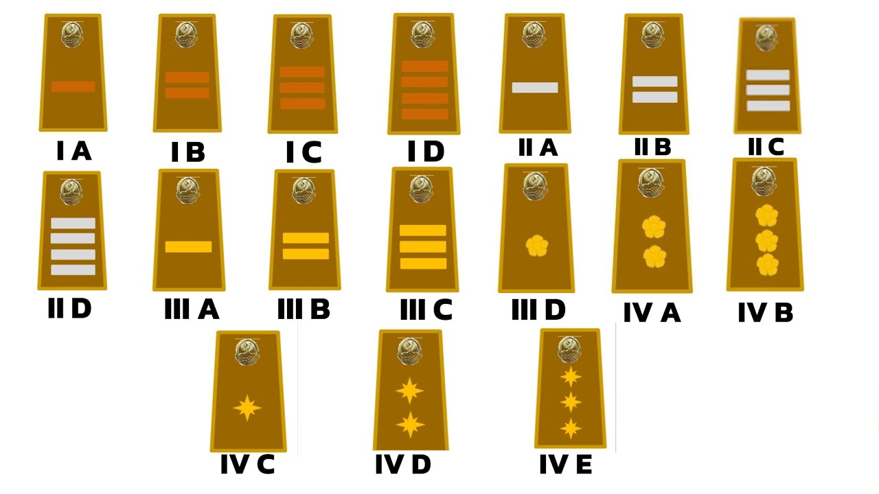 Semua Pangkat PNS Dijelaskan Dalam 12 Menit