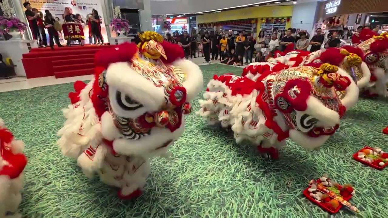 2026 - 8 lion dance at Bukit Timah Plaza 