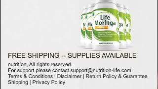 Moringa Documentary   the 'miracle' tree