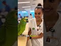 Parrot Says: You’re Still Distracting Me, Nurse