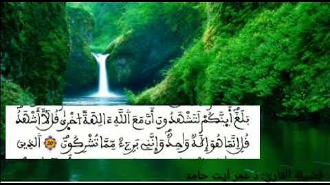 ما تيسر من سورة الأنعام
