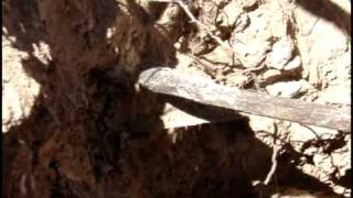 Middens of the Missions