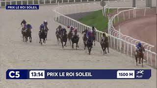 Vidéo de la course PMU PRIX LE ROI SOLEIL