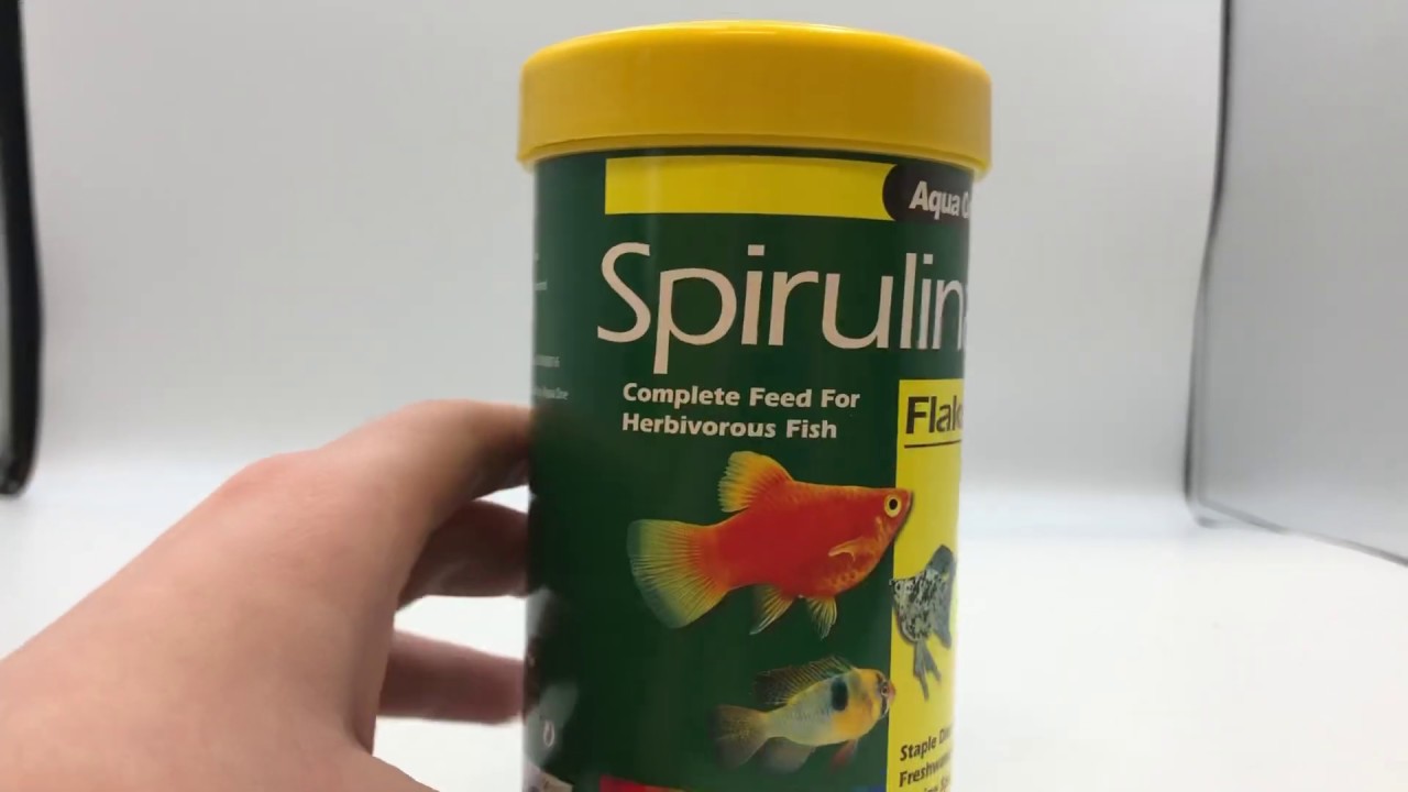 Aqua One Spirulina Flakes | Online Pet Supplies | Petco Direct