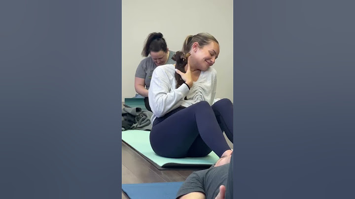 Puppy Yoga Goes Hilariously Wrong When Dogs Take Over The Class!#subscribe #shortvideo #shorts