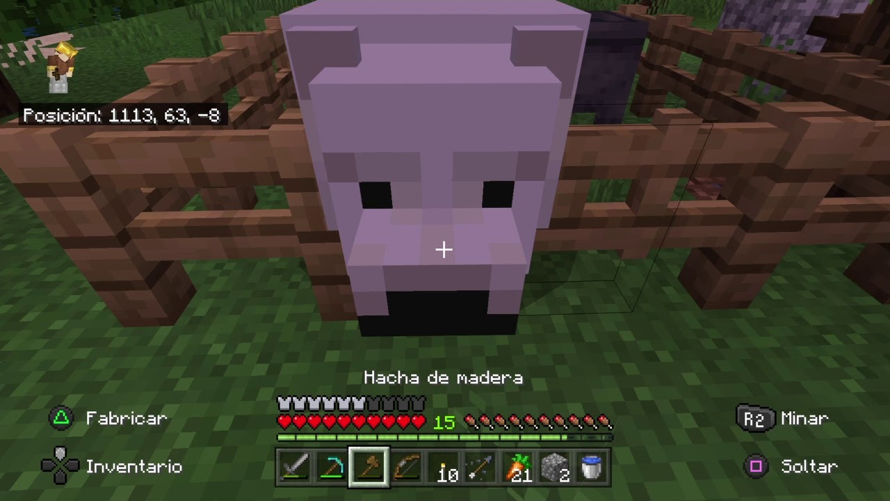 Q Comen Los Osos Polares En Minecraft