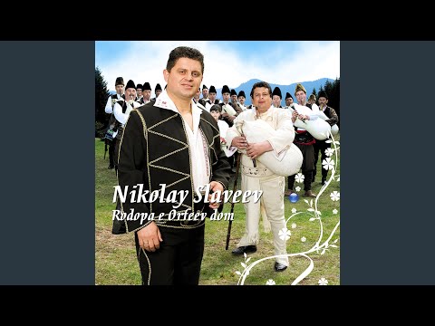 Lichko Lyo Stanovichkina