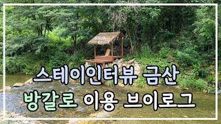 (내돈내산)스테이인터뷰금산 방갈로 이용 리뷰 브이로그/계곡물놀이