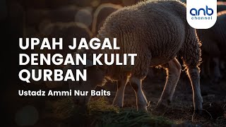 Upah Jagal Dengan Kulit Qurban Ustadz Ammi Nur Baits