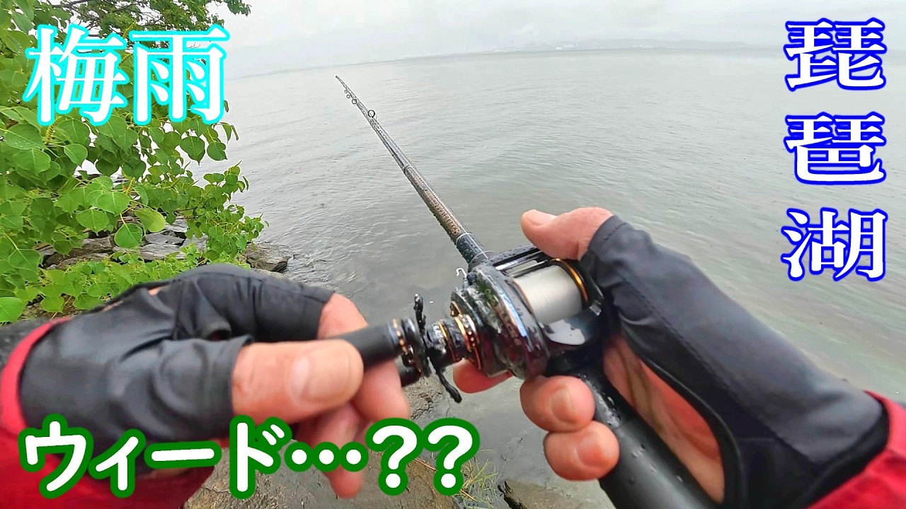 バスプロショップス　ビデオ It's rainy season [Bass Fishing] - YouTube