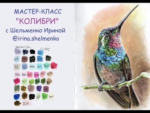 Скетч-Урок: Иллюстрация маркерами "Колибри"