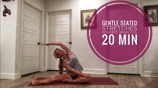 Gentle Seated Stretches || 25 Min || Clear the Fog