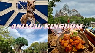 Animal Kingdom and runDisney Springtime Surprise 10 Miler | Walt Disney World April 2024 | Vlog