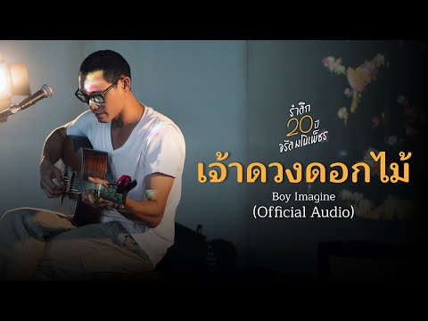 เจ้าดวงดอกไม้ - Boy Imagine (Official Audio)