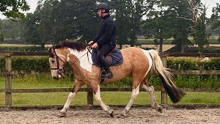 Mae - Flatwork video