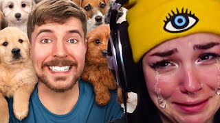 I CRIED TO MRBEASTS NEW VIDEO! I Rescued 100 Abandoned Dogs! REACTION