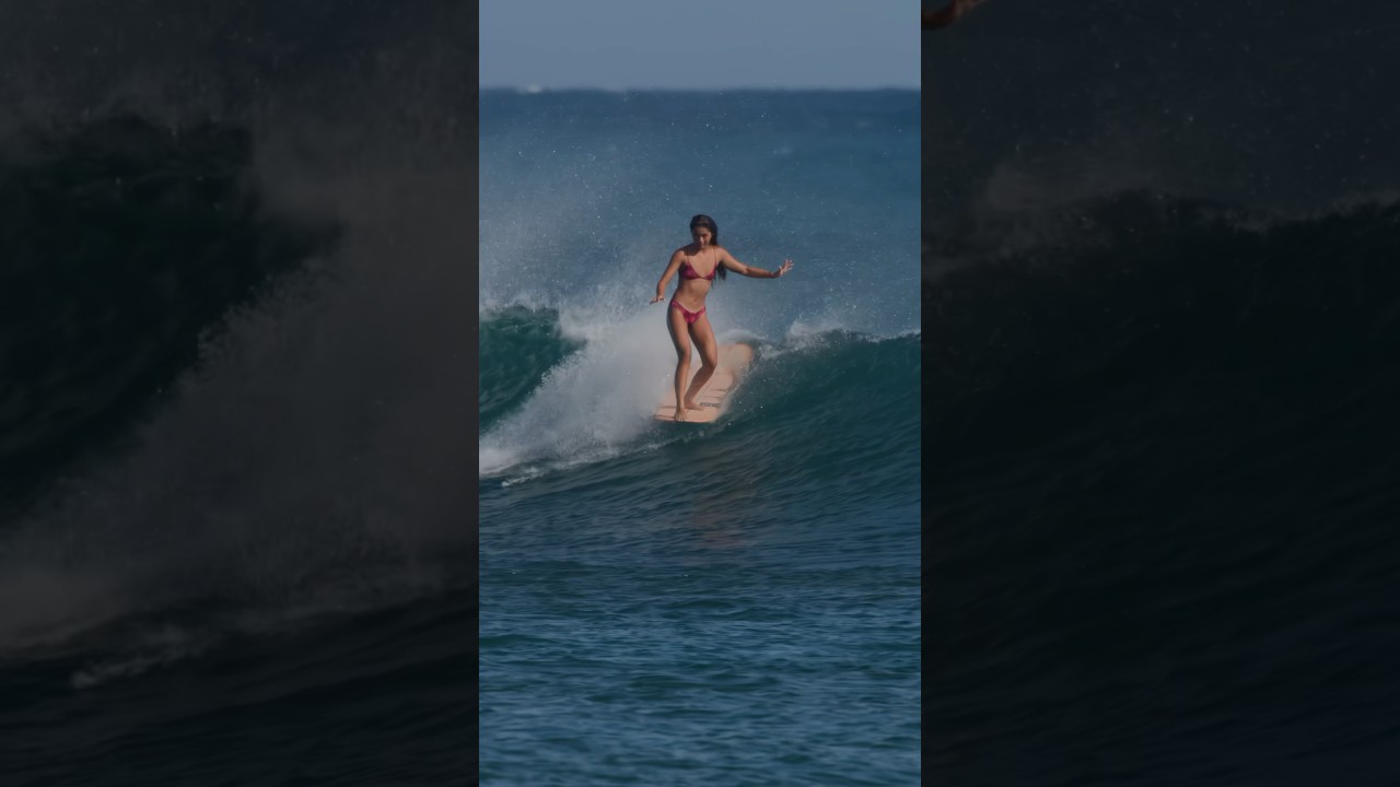 @jojowiththeflo on the south shore of 