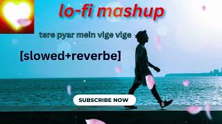 tere pyar mein vige vige vige(slowed+reverb) [full video] Tu jhutti mein makkar ending song