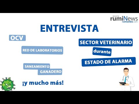 El SECTOR VETERINARIO durante el ESTADO DE ALARMA👨🏼‍⚕️