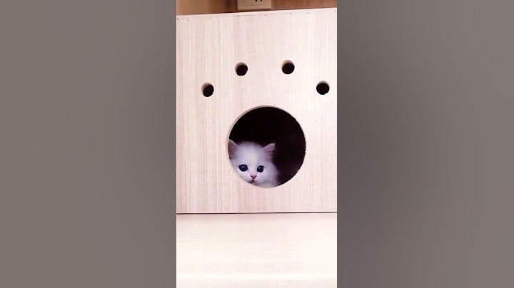 Shy little girl
