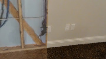 Matterport Scan Alignment