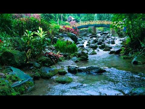 Calm Your Thoughts 🌙 | River Sounds #21