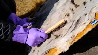 真鍮ブラシでの除毛