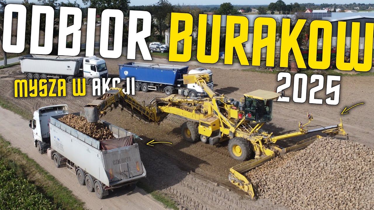 🇵🇱ODBIÓR BURAKÓW 2025 ||FIRMA NOWAK|| ROPA MAUS 4 ®