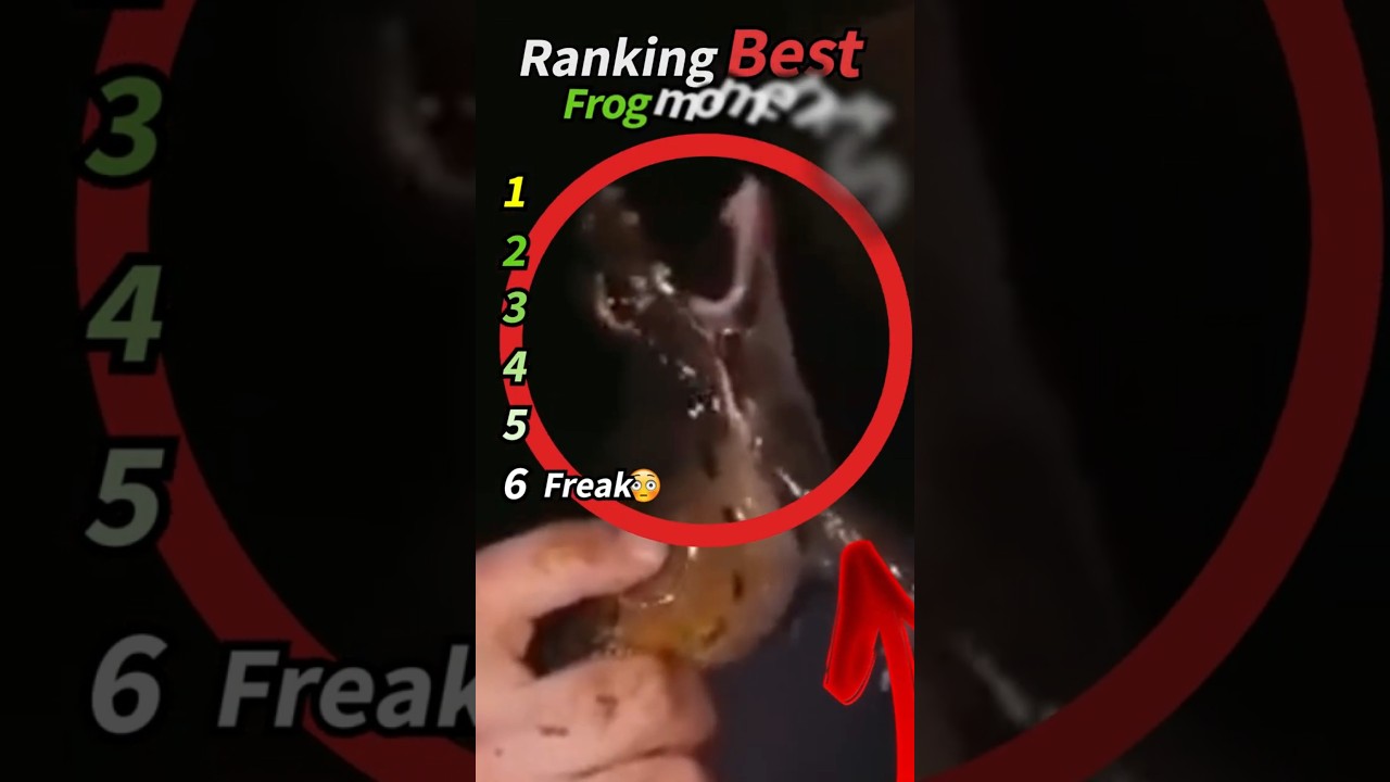 Ranking Best Frogs Moments 🐸🏆 (Funny Frog and Memes!) #frog #animals