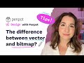 What is the difference between vector and bitmap?