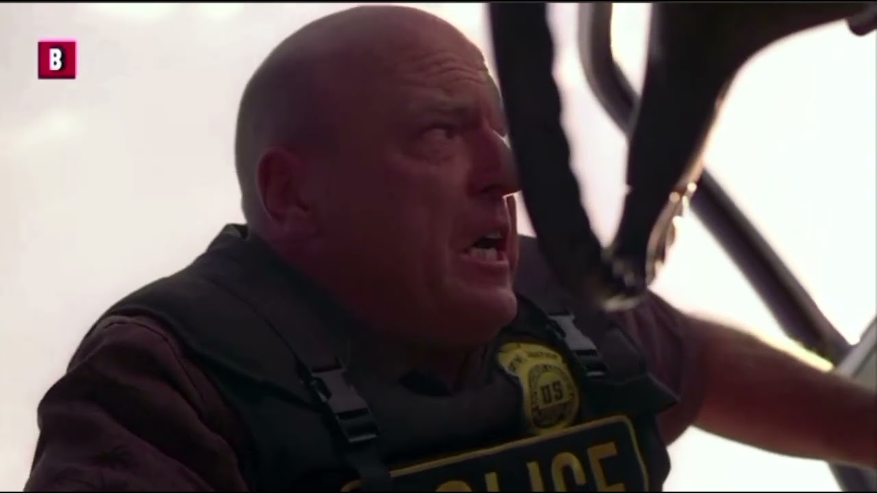 Severed human head on a tortoise Hey welcome to  Boooooom - Breaking Bad - 10 Minutes 