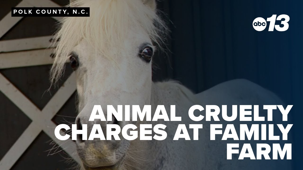 Animal cruelty charges at family farm