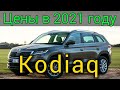 Цены Skoda Kodiaq в 2021 году у Официального дилера. О комплектациях и доп оборудовании