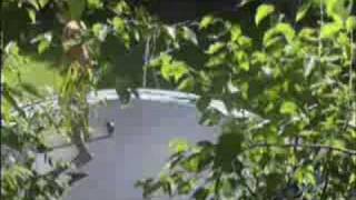 Tramp Boarding