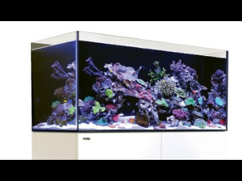 Red Sea Reefer 350 Sump Update Youtube Red Sea Reefer 350 Sump Update Youtube