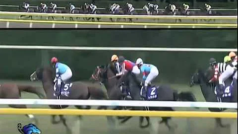 2014.10.04 Sprinters Stakes - Snow Dragon