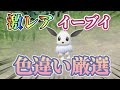 激レア色違いイーブイの入手方法が！？【ポケモンSV】