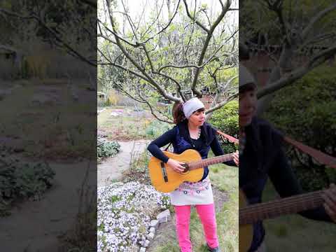 KANON |Spring Spring Spring |TUTORIAL & SING ALONG