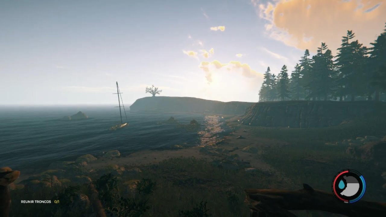 PRIMER VIDEO (The Forest 1)