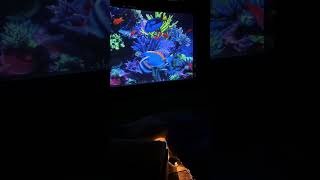 "Revolutionize Your Home Cinema: Experience 8K with Autofocus Projector 🎥✨ #HomeTheater