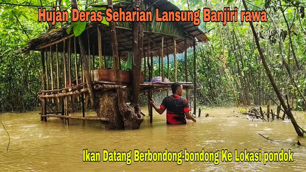 HUJAN DERAS SEHARIAN LANSUNG BANJIRI RAWA, IKAN TERPERANGKAP DI BAWAH PONDOK